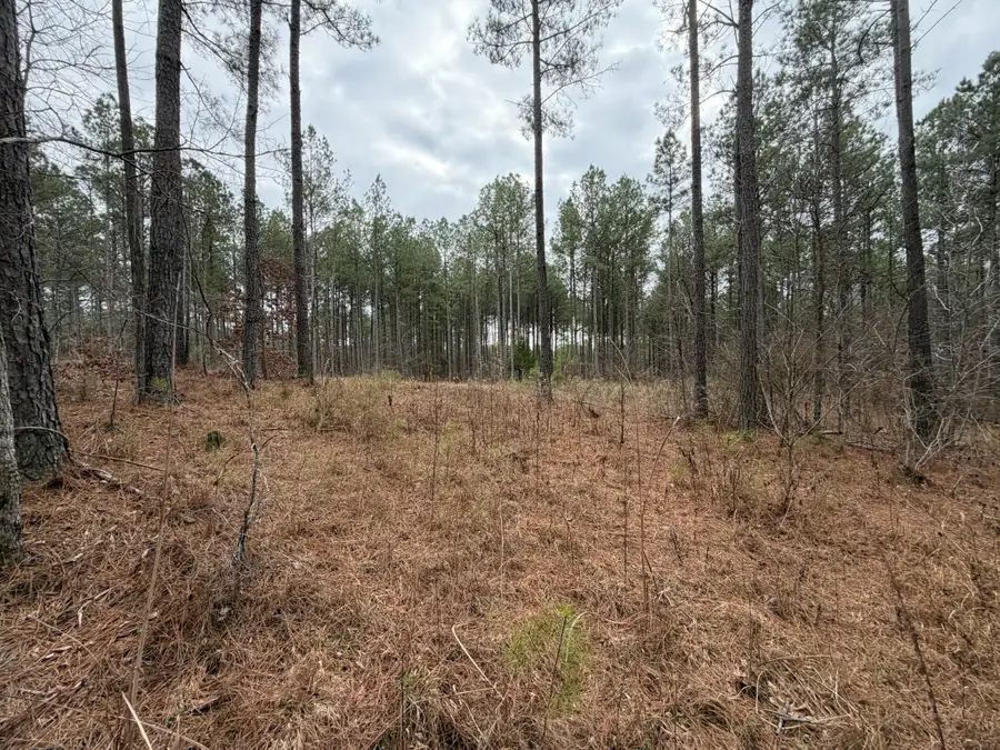 1B Bartlett Rd, Reagan, TN 38368 - #2