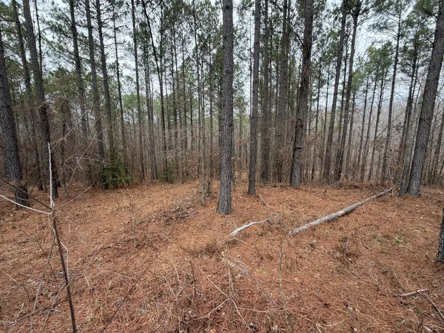 1B Bartlett Rd, Reagan, TN 38368 - #3