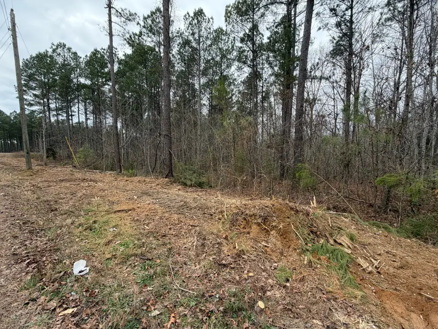 1A Bartlett Rd, Reagan, TN 38368 - #2