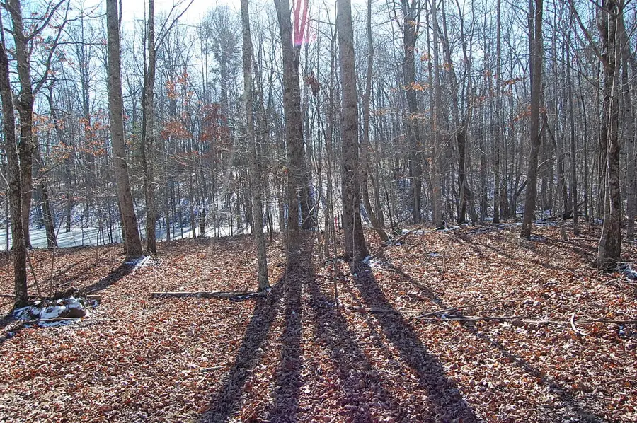 340 Bluff View Drive, Dunlap, TN 37327 - #2