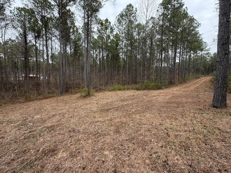 4 Bartlett Rd, Reagan, TN 38368 - #3