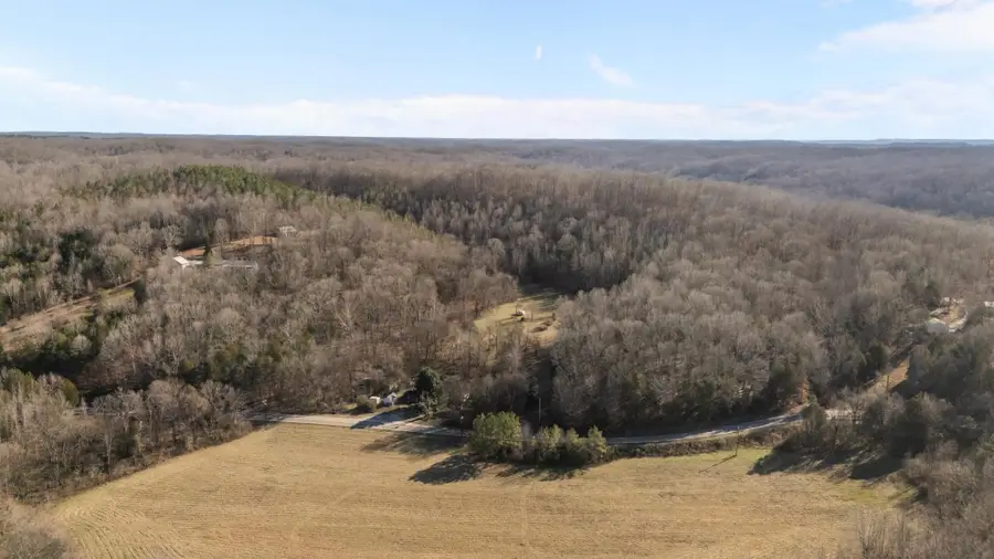 17177 Highway 438 W, Linden, TN 37096 - #2