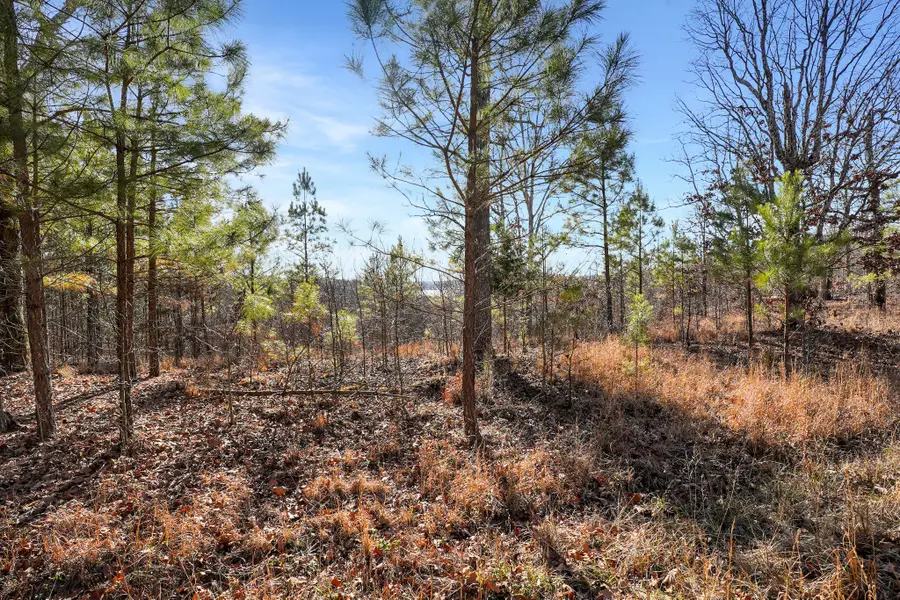 61 Shores Trail, Stewart, TN 37175 - #3