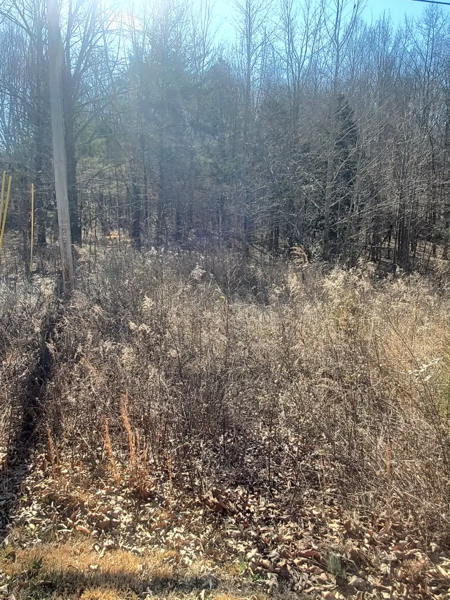 0 Summer Breeze Dr, Smithville, TN 37166 - #2