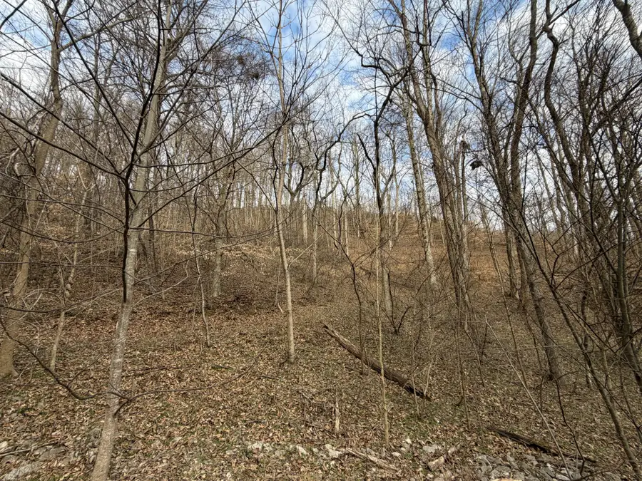 0 Bayside Drive, Lancaster, TN 38569 - #3