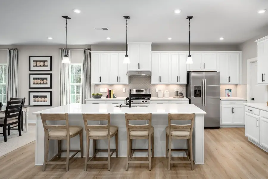 548 Brumby Loop, White House, TN 37188 - Image #2