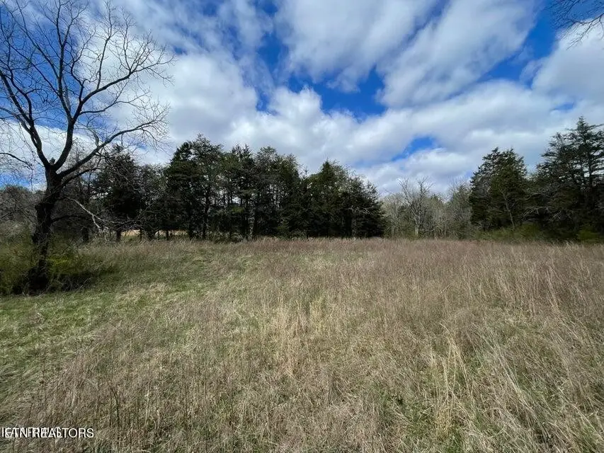 3908 E Raccoon Valley Drive, Powell, TN 37849 - #2