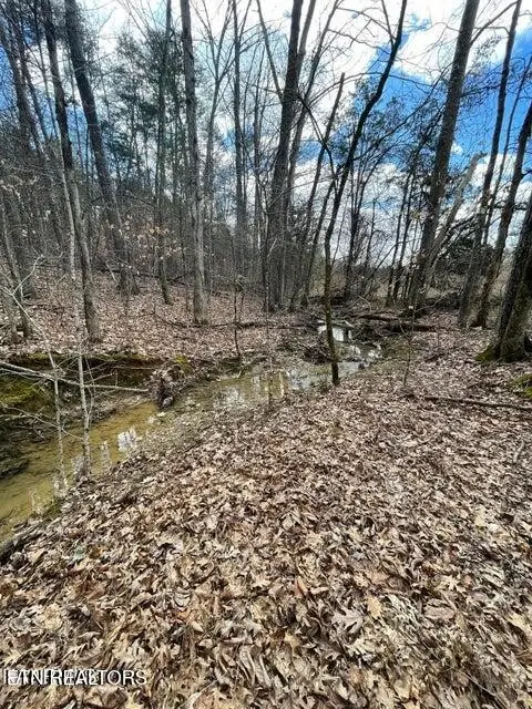 3908 E Raccoon Valley Drive, Powell, TN 37849 - #3