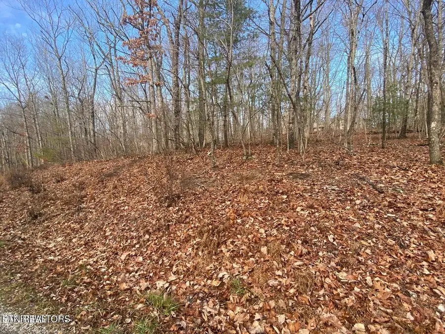 116 Overlook Cove, Crossville, TN 38558 - Image #3