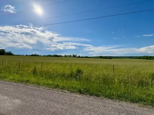 1 Topsy Rd, Waynesboro, TN 38485 - #3