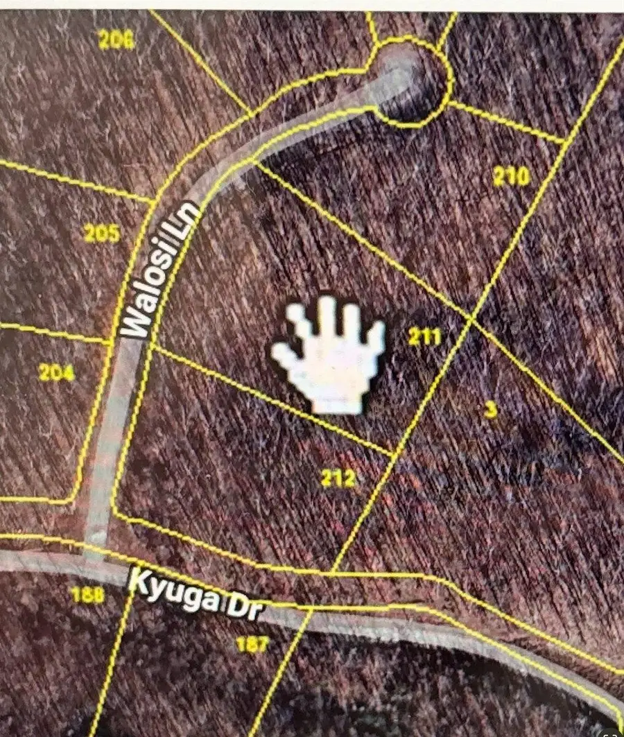 211 Walosi Lane, South Pittsburg, TN 37380 - #3