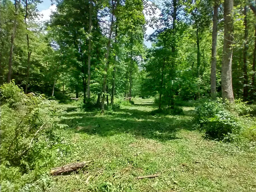 7500 Antioch Road, Smithville, TN 37166 - #3