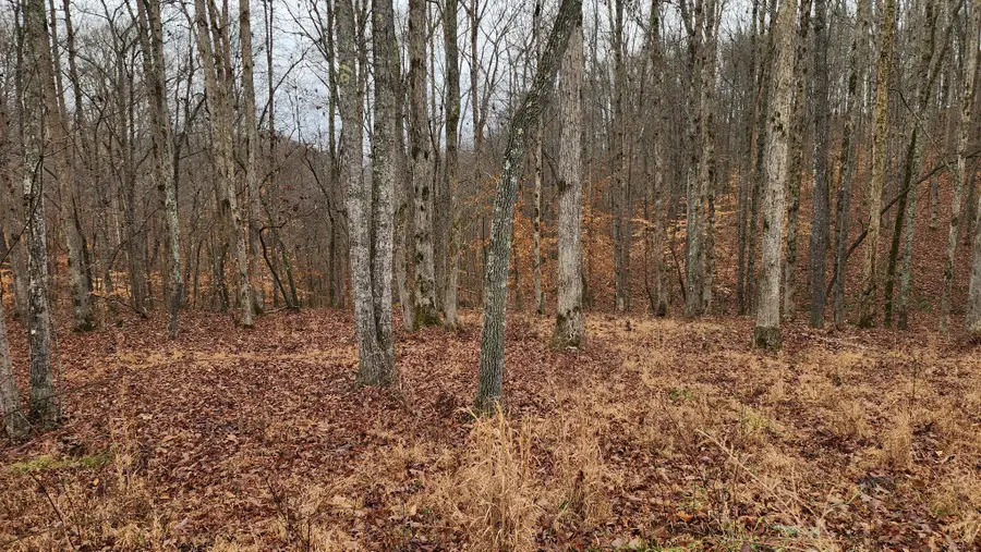 0 Riverwatch Trace, Sparta, TN 38583 - Image #2