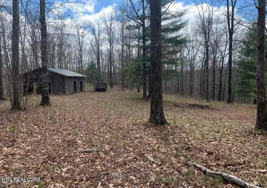 2870 Leatherwood Ford Rd, Jamestown, TN 38556 - Image #3