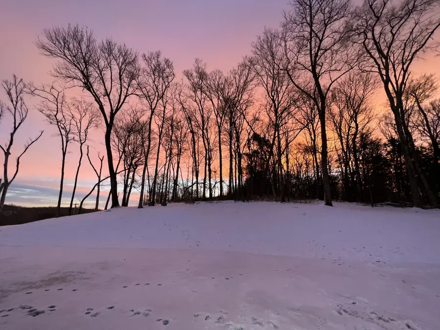 1555 Heller Rdg, Spring Hill, TN 37174 - Image #2