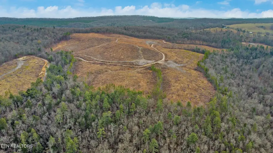 0 Possum Trot Rd.- 142.25 Acres, Grandview, TN 37337 - #2