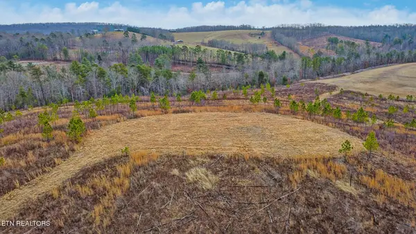 0 Possom Trot Rd. - Tract 2, Grandview, TN 37337