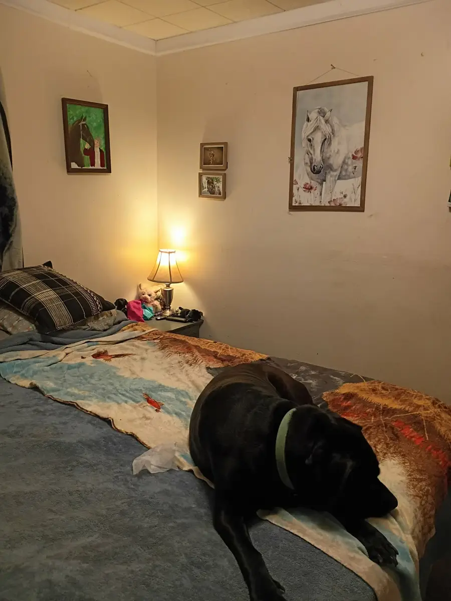 148 Silver St, Tullahoma, TN 37388 - #3