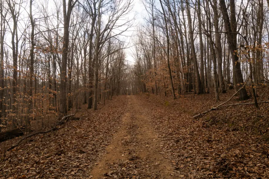 199 Spain Rd, Charlotte, TN 37036 - #2