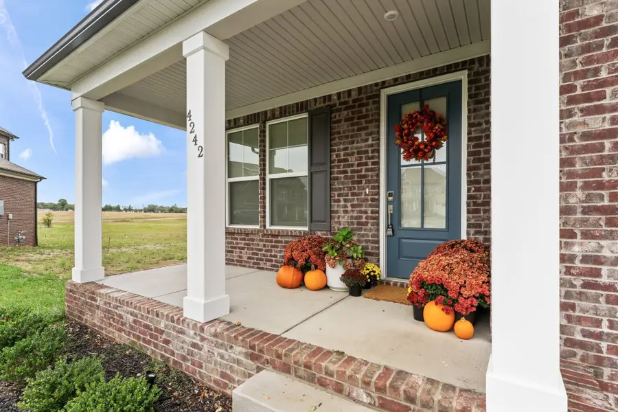 4242 Milano Ct, Murfreesboro, TN 37128 - #3