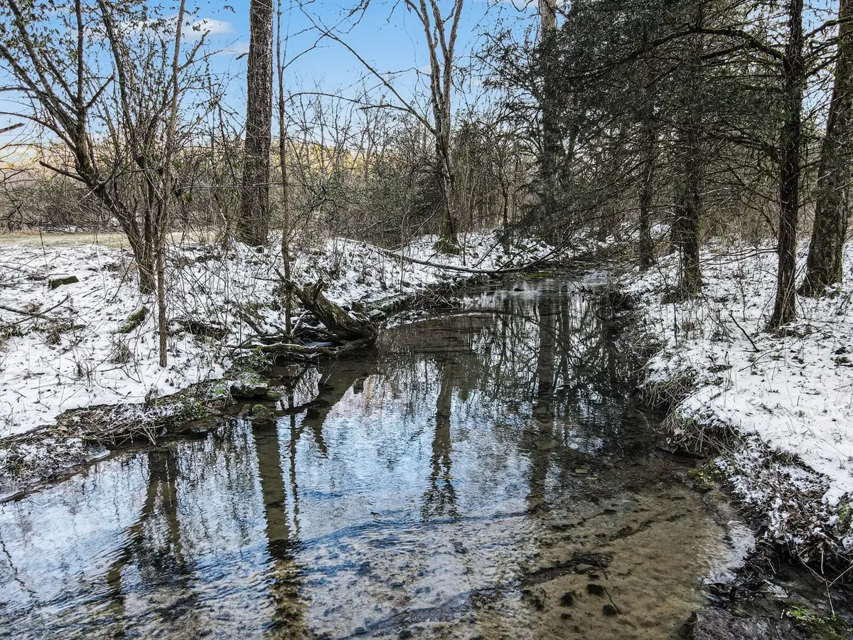 44 Opossum Hollow Rd, Gordonsville, TN 38563 - #1