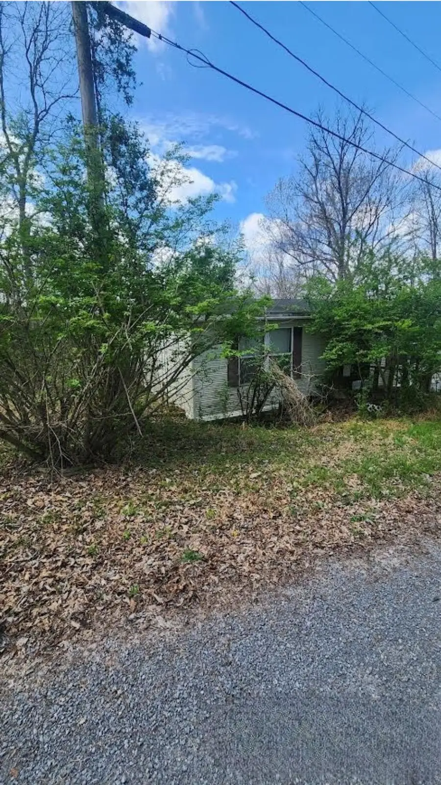 320 Hilltop Ln, Gainesboro, TN 38562 - #3