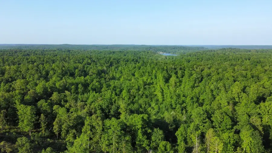 0 Brodies Landing Rd, Parsons, TN 38363 - #3