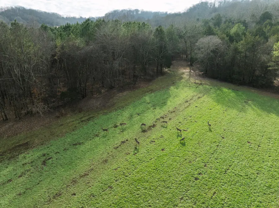 680 Morrell Road, Pulaski, TN 38478 - #2