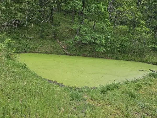 263 Club Springs Rd, Elmwood, TN 38560 - #3