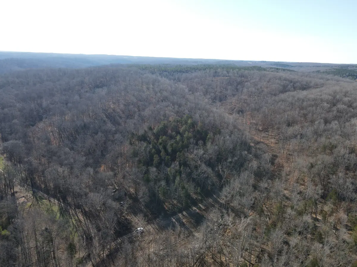 0 Busby Cemetery Lane, Stewart, TN 37175 - #1