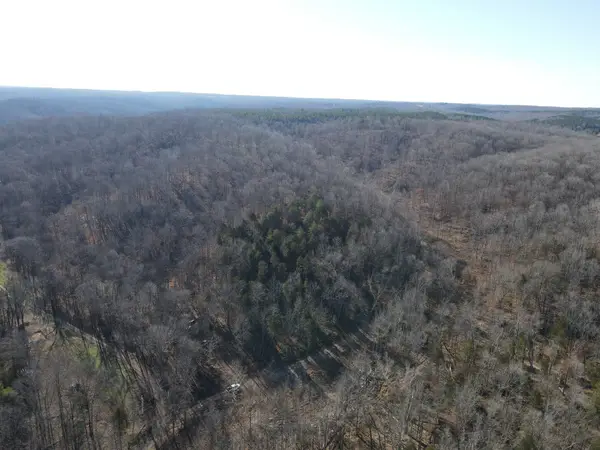 0 Busby Cemetery Lane, Stewart, TN 37175