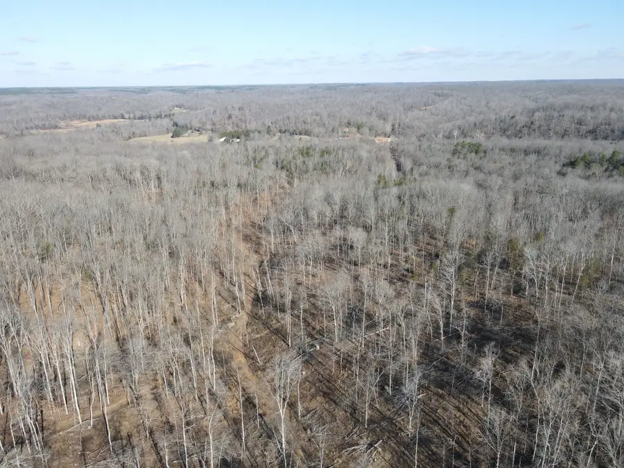 0 Busby Cemetery Lane, Stewart, TN 37175 - #3