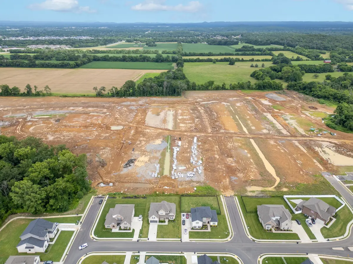 186 Blueberry Court, Murfreesboro, TN 37128 - #1