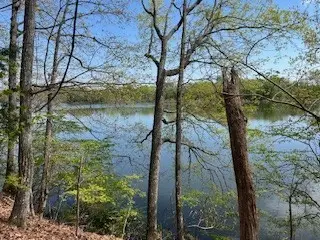 0 Canary Lane, Estill Springs, TN 37330 - #1