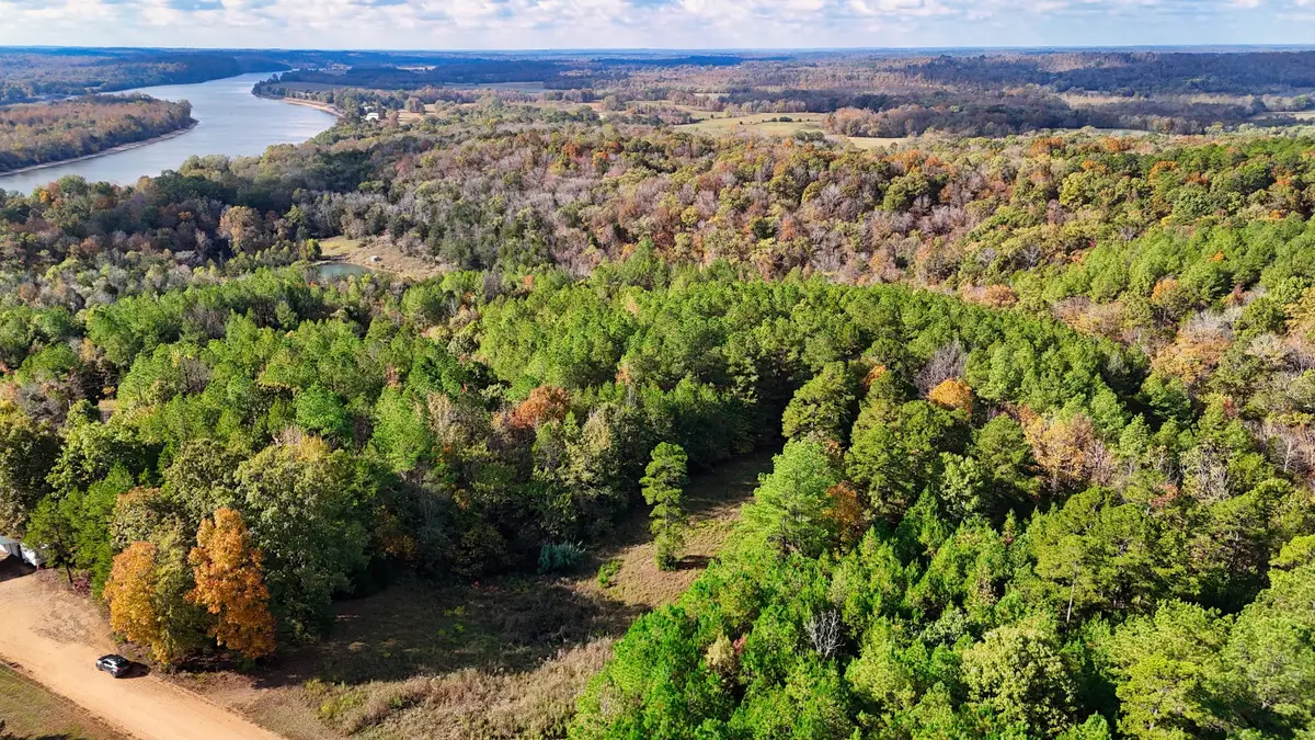 619 Bridge View Cv, Bath Springs, TN 38311 - #1