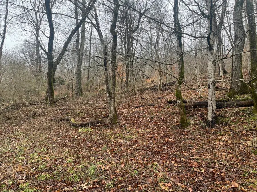 0 Cathcart Rd, Frankewing, TN 38459 - #3