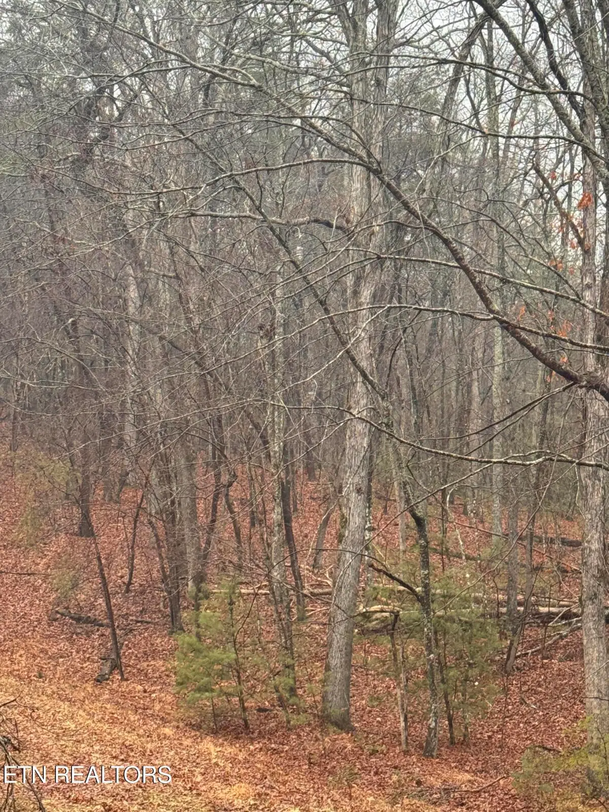 18 Bacham Court, Crossville, TN 38558 - #1