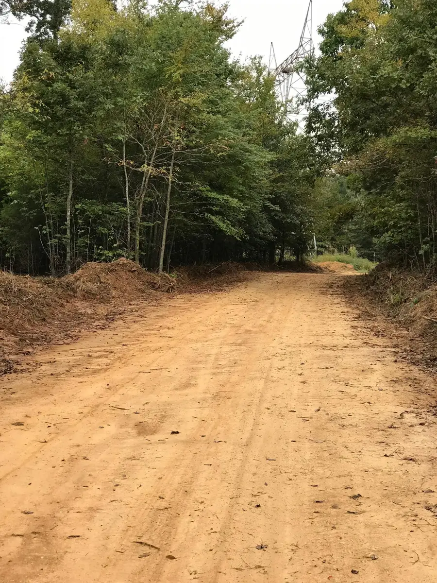 2 Olde Tennessee Trail, Springville, TN 38256 - #3