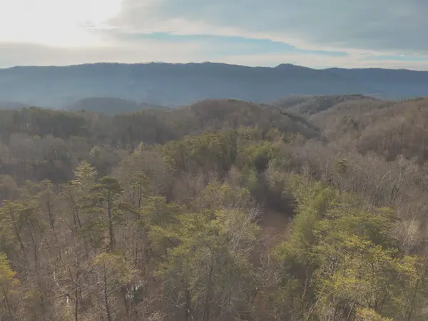 1133 Macedonia Martin Gap Rd, Englewood, TN 37329