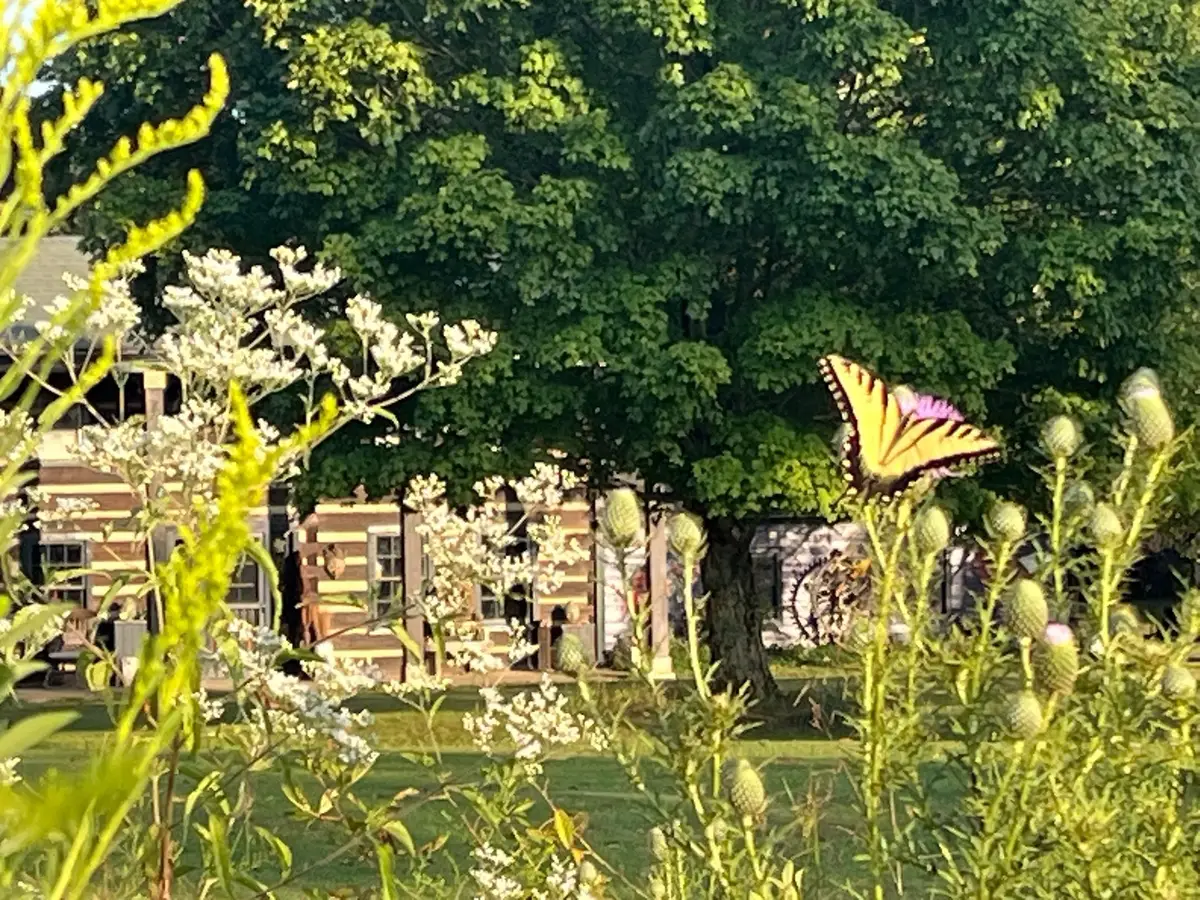 7139 Kingston Rd, Fairview, TN 37062 - #1