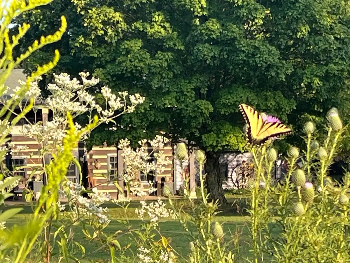 7139 Kingston Rd, Fairview, TN 37062 - #1