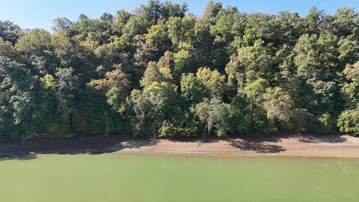 23 Caywood Rd, Dandridge, TN 37725 - #1