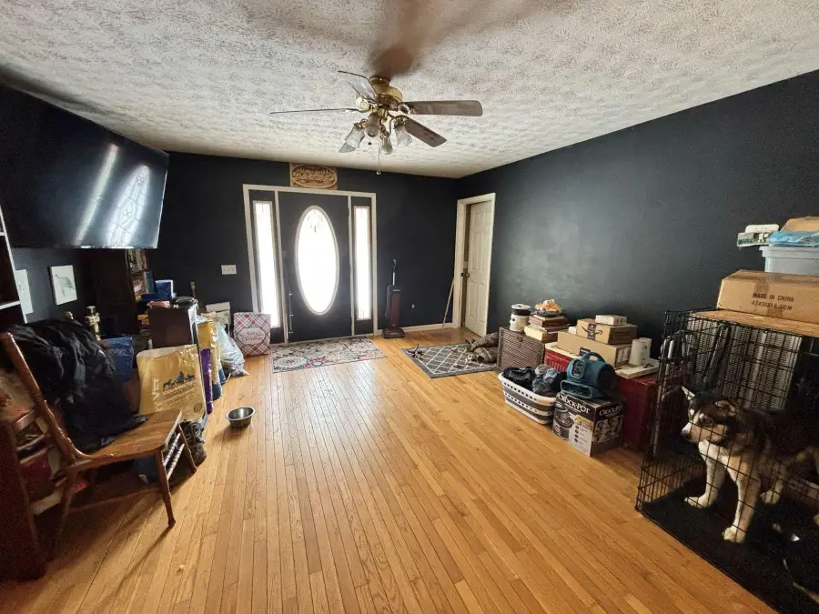 167 Forest Wood Ln, Mountain City, TN 37683 - #3