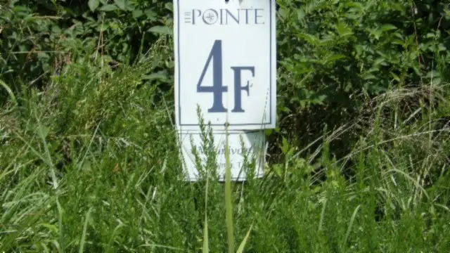 4 F Trout Lane, Hilham, TN 38568 - #2