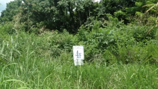 4 F Trout Lane, Hilham, TN 38568 - #3