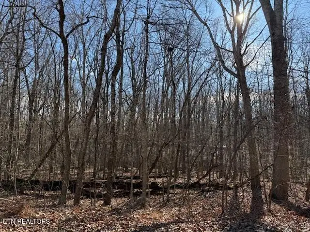 113 Overlook Cove, Crossville, TN 38558 - #1