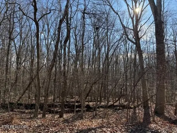 113 Overlook Cove, Crossville, TN 38558