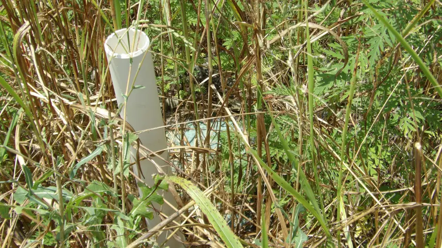 17 D Crappie Lane, Hilham, TN 38568 - #2