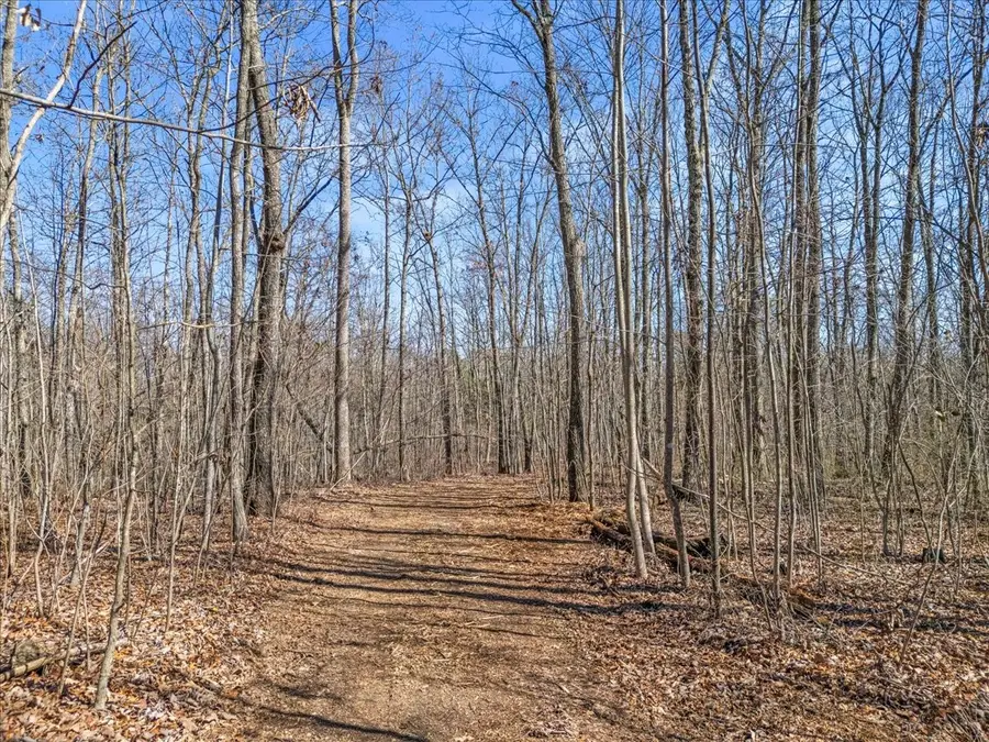 0 Bridal Veil South, Monteagle, TN 37356 - #3