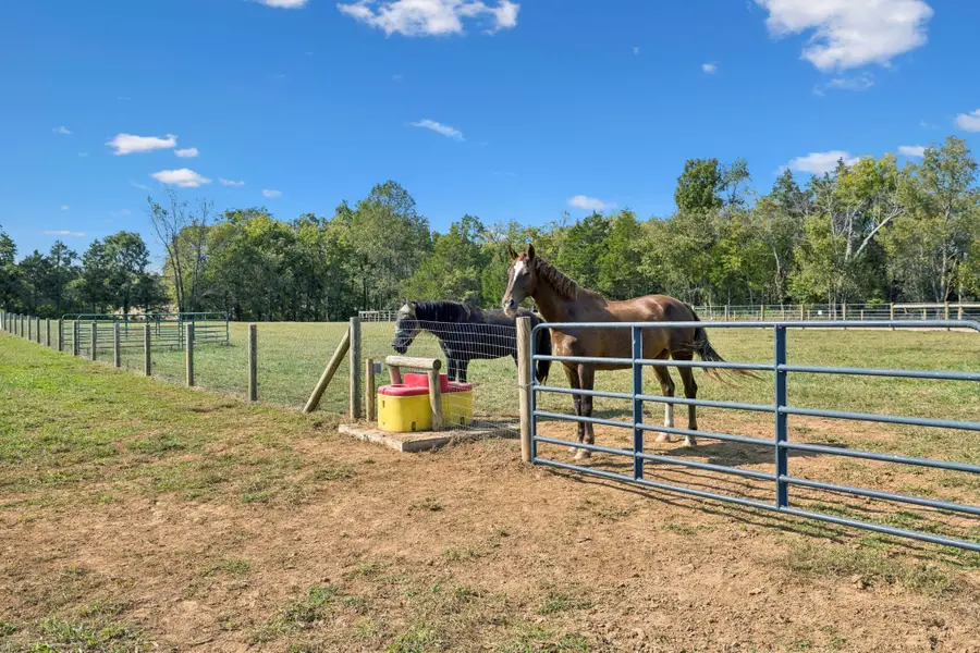 7531 Barlow Ln, Lascassas, TN 37085 - #3